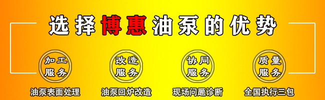  3GBW保溫三螺桿瀝青泵(圖7)